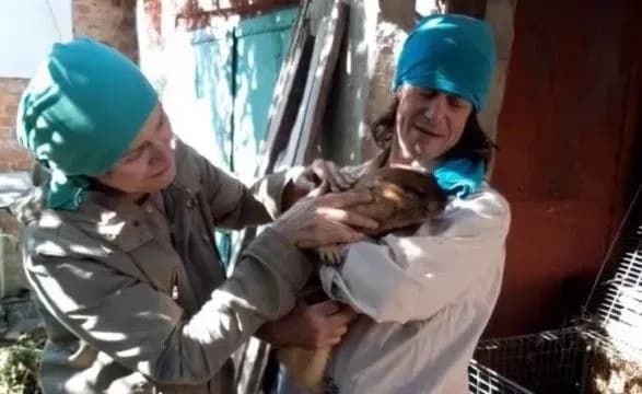 Харківський бабак-віщун Тимко пережив російську окупацію