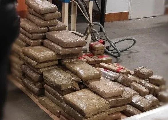 Замість заморожених ягід - 272 кг гашишу: польські митники виявили партію наркотиків у вантажівці з України