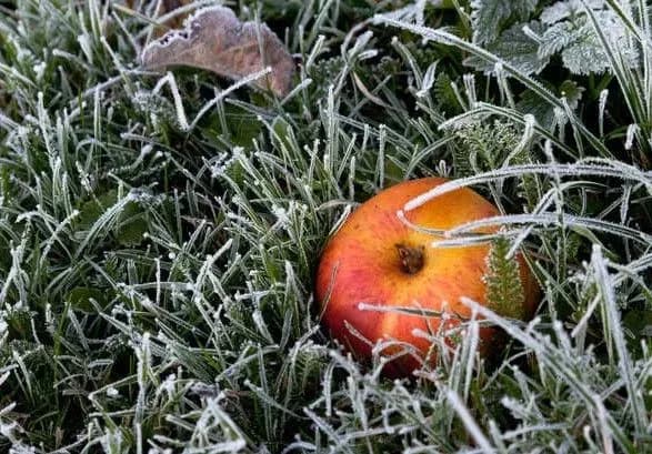 В Україні вдарять морози: синоптик дала прогноз