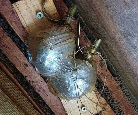 На Київщині російські окупанти замінували вулик, від вибуху врятували бджоли - пасічник