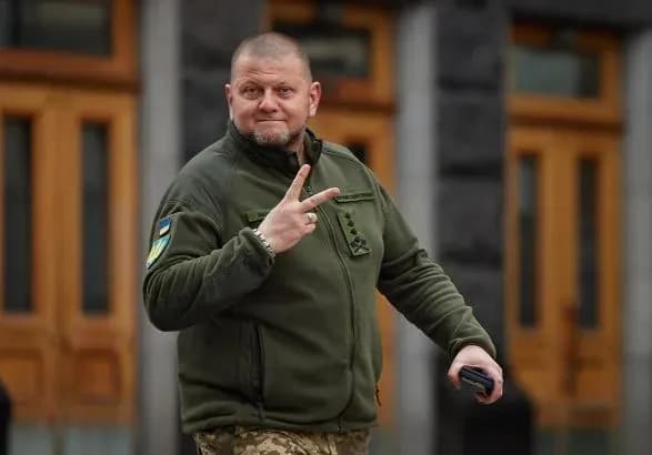 Українські війська на Херсонському напрямку просунулися до 36,5 км вглиб оборони ворога - Залужний