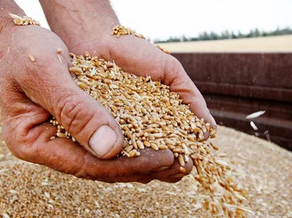 Стартовала инициатива "Зерно из Украины": минимум 60 судов планируют отправить в беднейшие страны Африки
