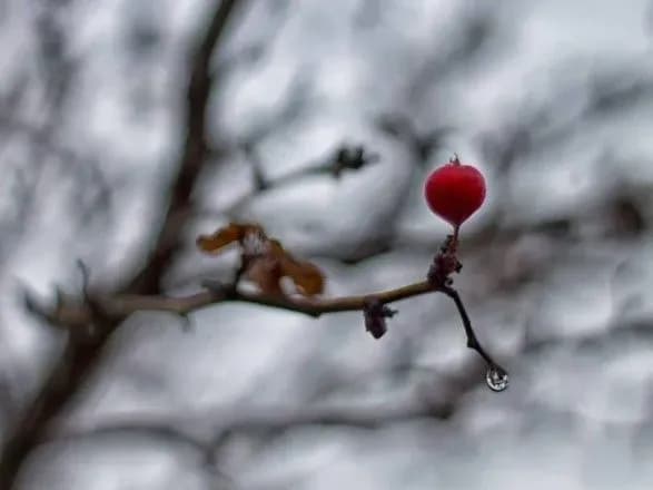 Від 9° морозу до 9° тепла: прогноз погоди на сьогодні