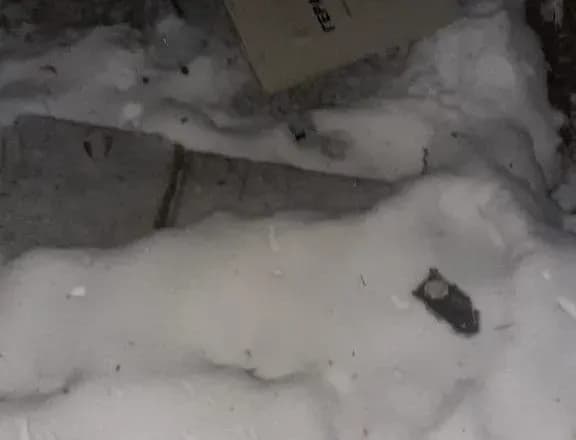 Безпілотник типу Shahed вночі на півночі Житомирщини збила ППО