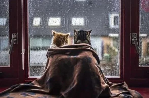 Морози спадають: прогноз погоди на сьогодні