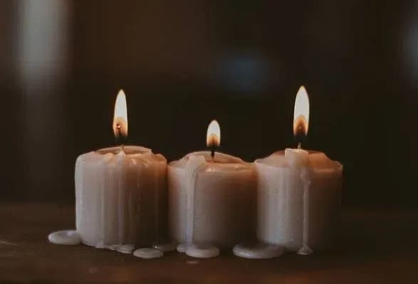 В Донецкой области во время разминирования подорвались пиротехники: трое погибли, двое - ранены