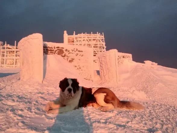 У Карпатах вдарили сильні морози: температура впала до -17°