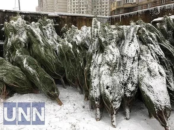 Від 400 до 4 тисяч гривень: у Києві відкрились ялинкові ярмарки