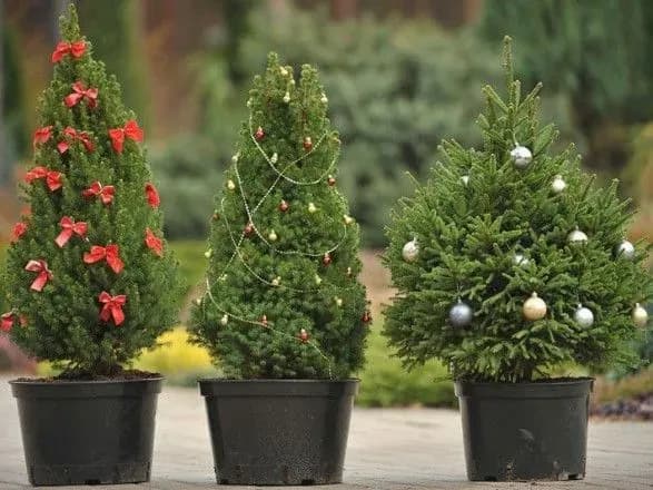 У Херсоні не буде масових новорічних святкувань - мерія