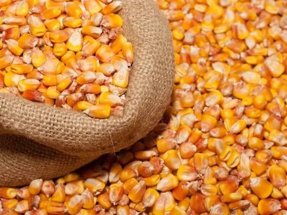 Під час війни найбільший дохід Україна отримала від експорту кукурудзи та олії - дослідження