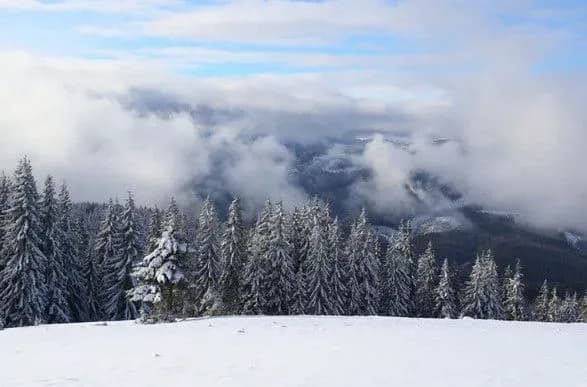 Намагалися незаконно перетнути кордон: у Карпатах загинули двоє чоловіків