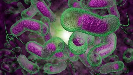 У Малаві відклали відкриття шкіл через сплеск смертності через холеру