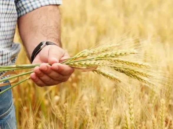 Нестача грошей та падіння врожаю: які проблеми чекають на аграріїв у 2023 році