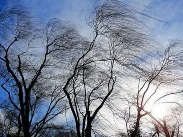 У столичному регіоні завтра прогнозують поривчастий вітер: рівень небезпеки «жовтий»