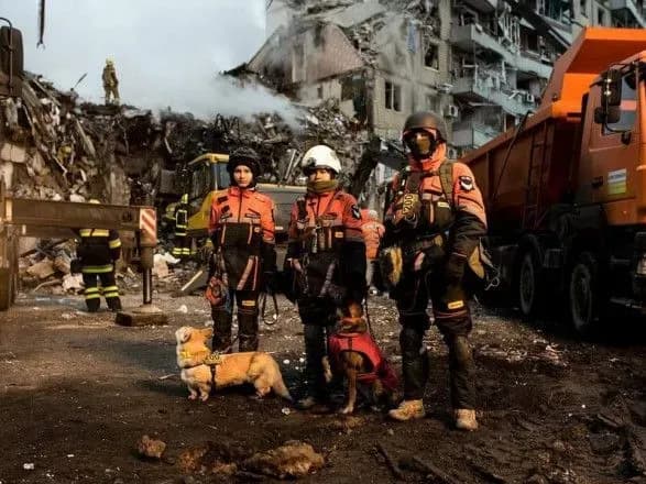 “Після обстрілів працювала на набряклих до крові лапах”: як собаки допомагають військовим та ДСНС у пошуку людей