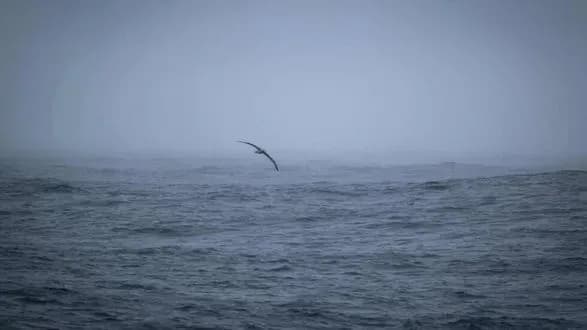 Антарктичний лід досяг рекордно низького рівня в січні - кліматичний моніторинг