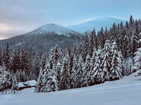 Міндовкілля пропонує внести старовікові хвойні ліси Карпат до Всесвітньої спадщини ЮНЕСКО
