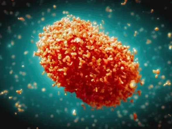 Оспа обезьян остается чрезвычайной ситуацией в мире - ВОЗ