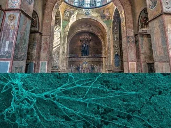 Вчені НАН України разом з іноземними колегами дослідили мікробні пошкодження фресок Софії Київської