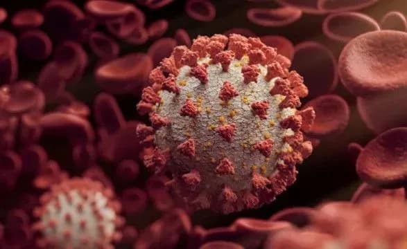 Количество новых случаев COVID-19 в Южной Корее превышает 10 тысяч 5-й день