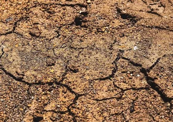 У Туреччині зафіксовано новий землетрус