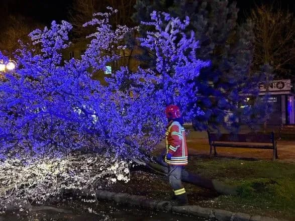 На Закарпаття вночі обрушилася негода: дісталося Ужгороду