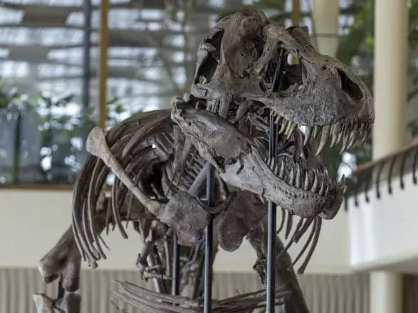 У Швейцарії з молотка піде рідкісний скелет тиранозавра