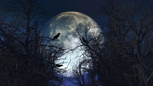 Як повний місяць вплине на представників різних знаків Зодіаку: гороскоп на 3 - 9 квітня