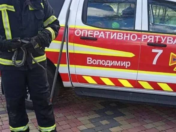 На Волині біля дитячого майданчика виявили змію-медянку