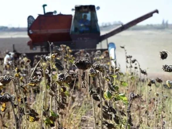 У Європарламенті підтримали продовження безмитної торгівлі з Україною на рік