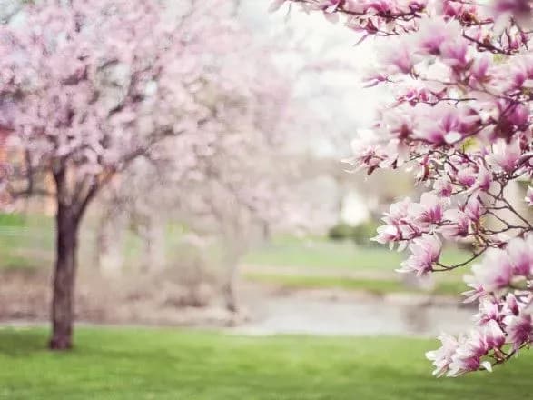 День семейного равенства и Всемирный день сирот СПИДа: что отмечаем и кого чествуем сегодня