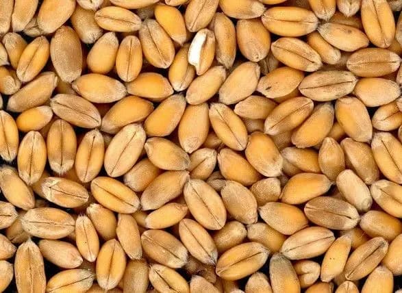 Економічні “шахеди” росії у Молдові: як агенти кремля допомагають воювати проти України