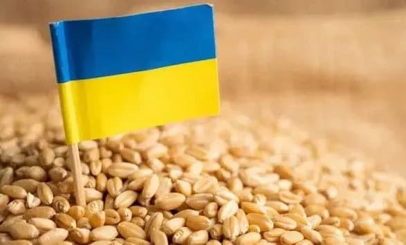 россия снова саботирует работу "зернового коридора": в Турции заблокированы 90 кораблей