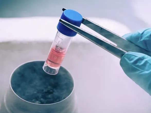 Китай проведет исследование стволовых клеток на орбите Земли