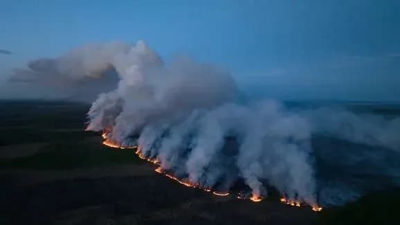 Масштабні лісові пожежі в Канаді: палає провінція Британська Колумбія