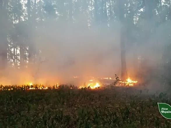 На Чернігівщині триває лісова пожежа, до якої призвели російські обстріли