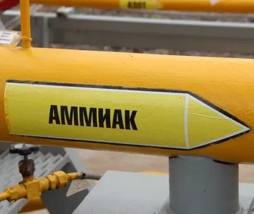 Аммиачный компромисс? ООН пытается спасти зерновую сделку "взаимовыгодным" предложением