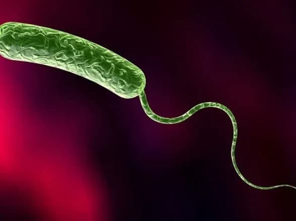 Підрив Каховської ГЕС: в МОЗ розповіли, як захиститися від холери