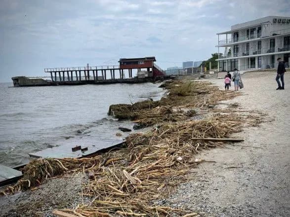 Може бути небезпечно: Труханов закликав мешканців Одеси не прибирати пляжі самостійно