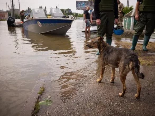 Уровень воды ниже Каховской ГЭС продолжит спад на 1-10 см в час - Укргидроэнерго