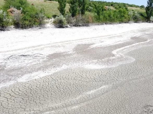 Теракт на Каховській ГЕС: нацпарки "Великий Луг" та "Кам’янська Січ" поступово перетворюються на пустелю