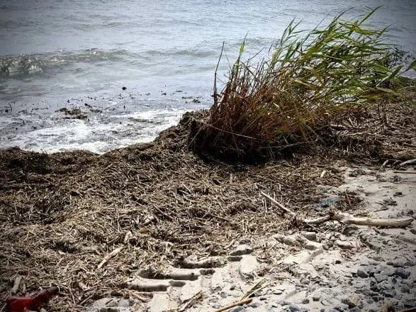 В Одесі заборонили купатися на міських пляжах