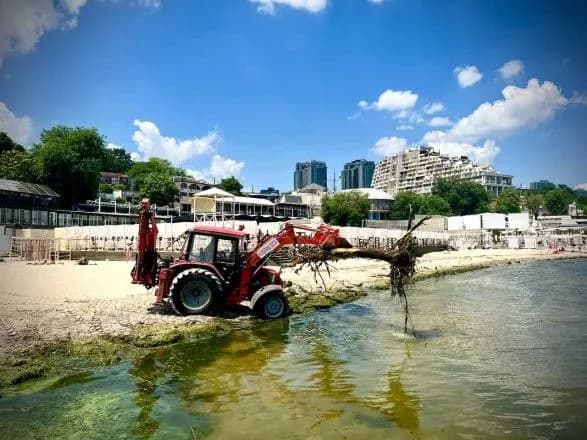 У відібраних в Одесі пробах морської води виявлено холероподібний вібріон - міськрада