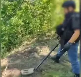 Трагедія під час сімейного відпочинку на Донеччині: батько та син підірвалися на міні