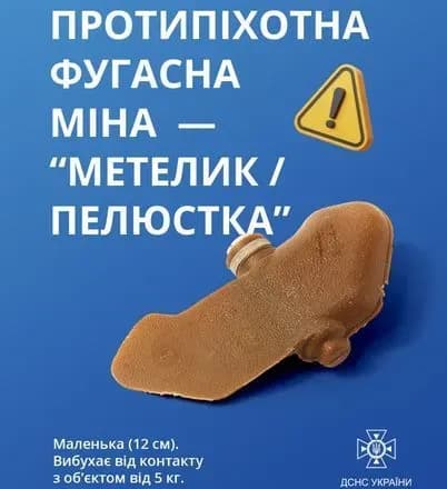 На Харківщині внаслідок вибуху протипіхотної міни постраждав чоловік