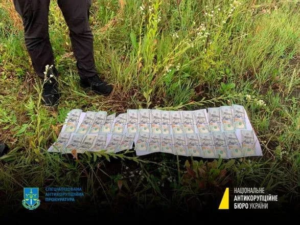 Незаконний дозвіл на перетин кордону: у народної депутатки та її помічника проводять обшуки