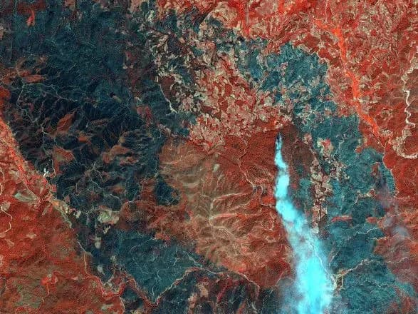 Греция находится в состоянии войны с лесными пожарами - премьер