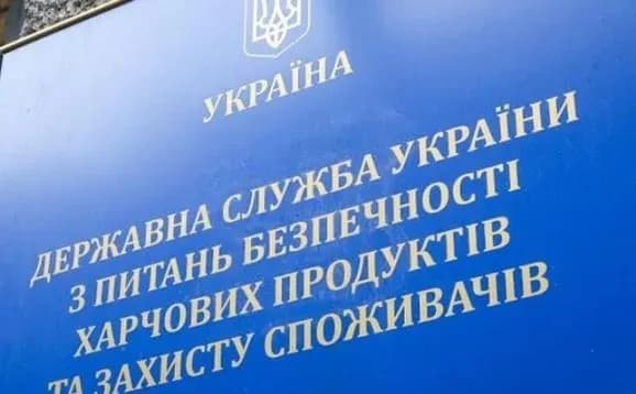 Массовое уничтожение бездомных животных на Киевщине: Госпродслужба заявляет, что африканская чума свиней не передается через собак