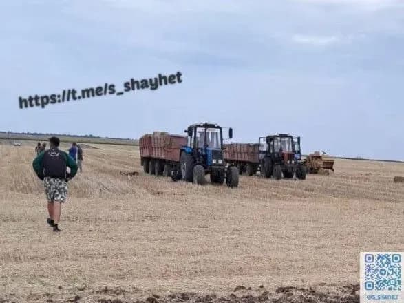Наступив на касетний снаряд: на Миколаївщині у полі загинув селянин