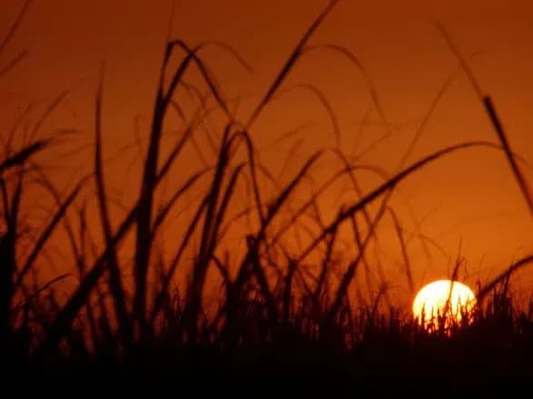 В Ірані через "безпрецедентну спеку" оголосили два дні державними вихідними